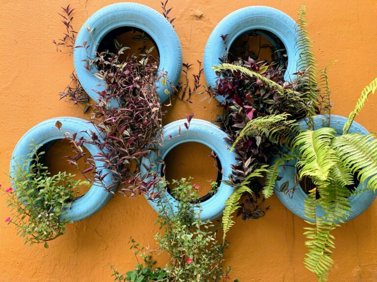 Sustainability reusing painting tires as planters